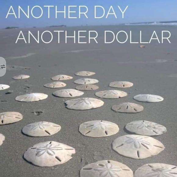 Meet your Posher, Jennifer - Picture 3 of 6